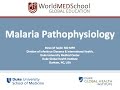 Malaria Pathophysiology by Steve Taylor, Duke Global Health Institute