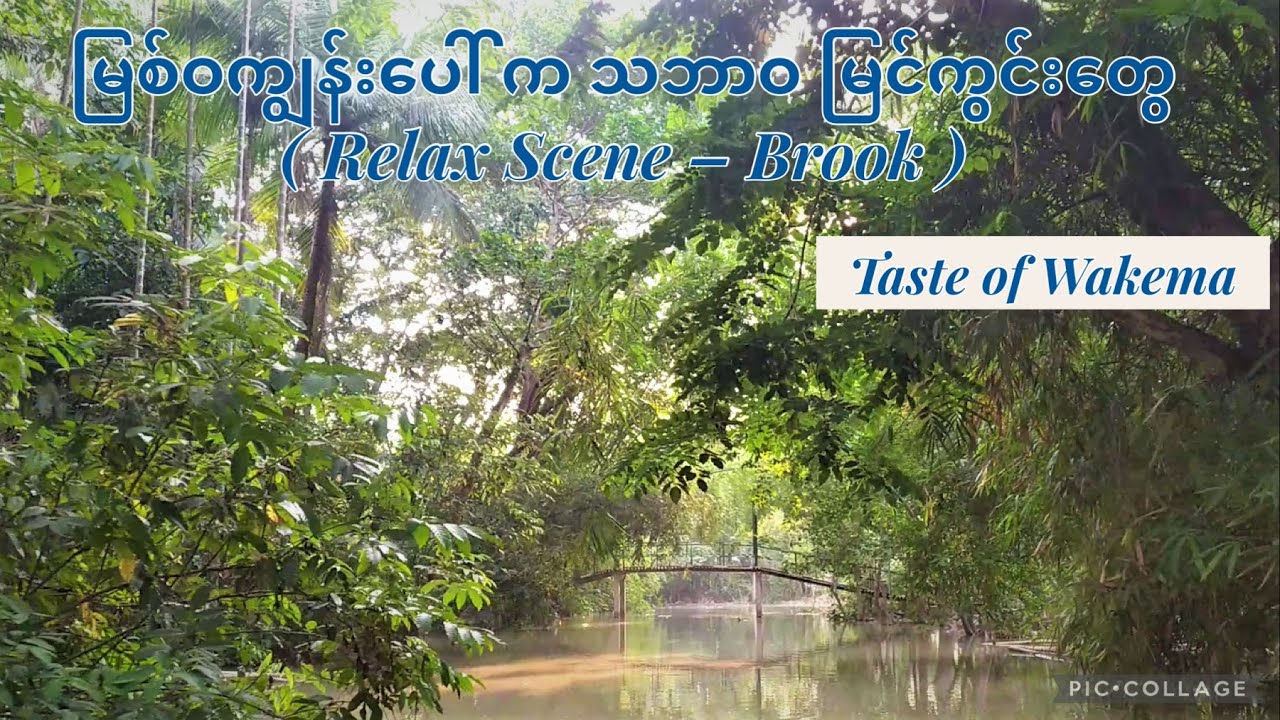 မြစ်ဝကျွန်းပေါ် က သဘာဝ မြင်ကွင်းတွေ ( Relax Scene – Brook )Boating on Delta - Brook