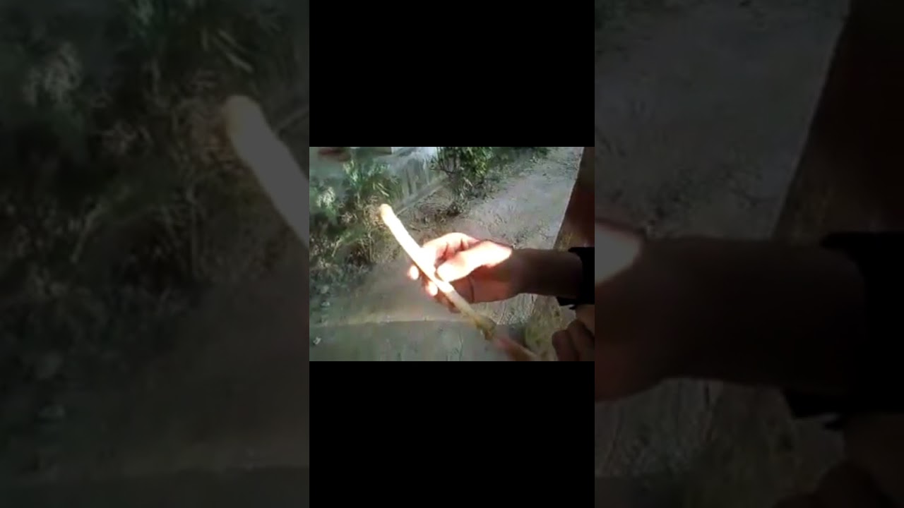 Anatomy Of Radius Of Dog ||Radius||Uvasian Notes