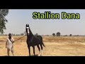 “बेंक बेलेंस पैसों से नहीं, संस्कारों से बनता है!