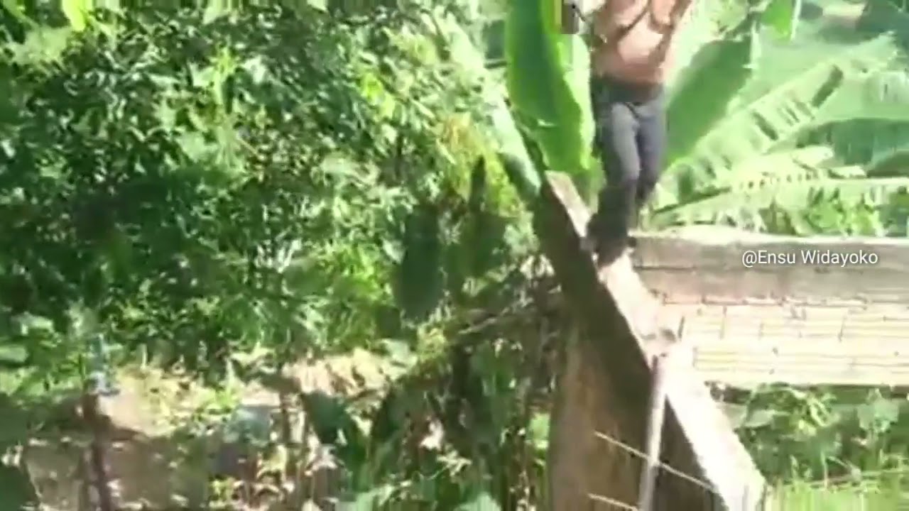 Jurus menghilang 😁