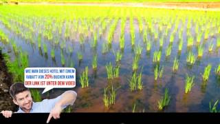 Beauty Spring N Harvest Guest House, Puli, Taiwan, Bewertungen