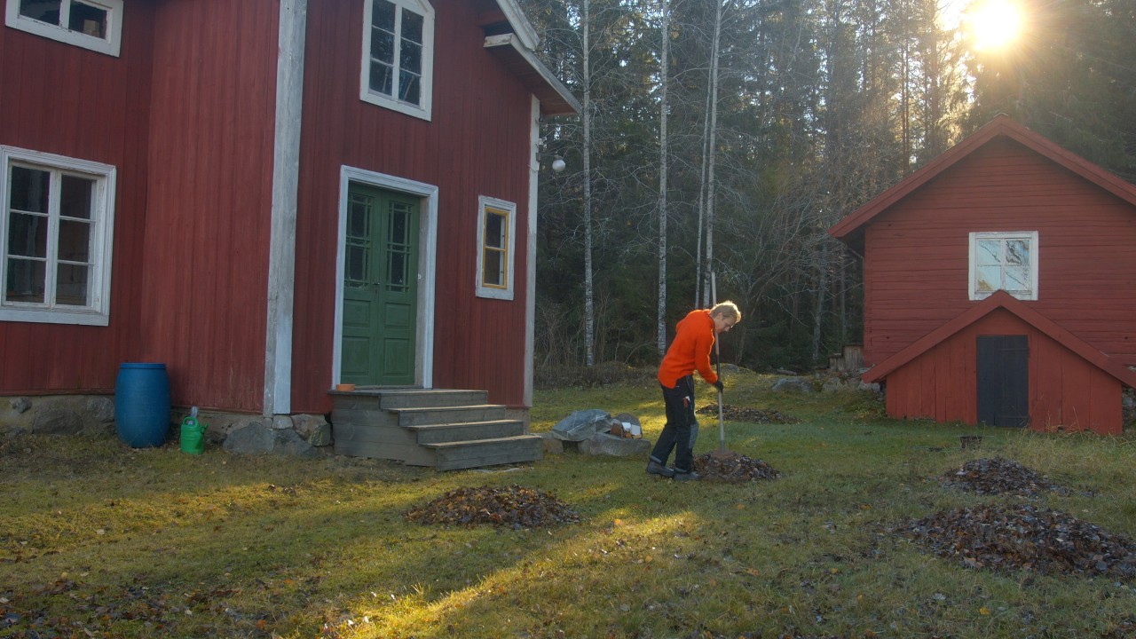 Image showcasing Ch. 54 - Great Progress in Swedish Cabin Renovation - YouTube