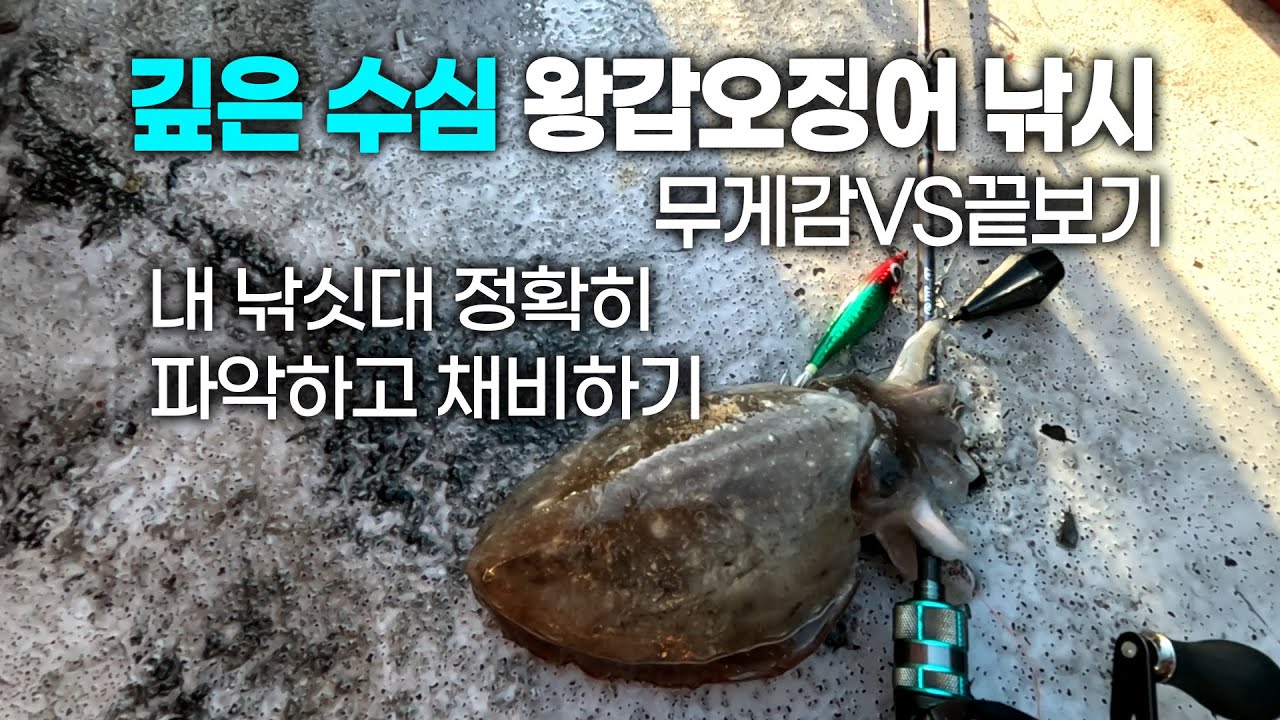 왕갑오징어 낚시 내 낚싯대만 잘 알고 써도 장원! 감도 와 끝보기 낚시 양빵으로 장원가자! 갑오징어 신발짝이 묵직 하긴하네유~ 신진도권이 역시크네  나혼자만레벨업!