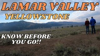 BUY THIS BEFORE YOU GO TO LAMAR VALLEY // YELLOWSTONE
