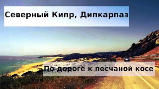 #125 Северный Кипр, Дипкарпаз: лучший пляж и ОЧЕНЬ ГОЛОДНЫЕ ОСЛЫ