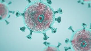 New omicron subvariant may be most contagious strain