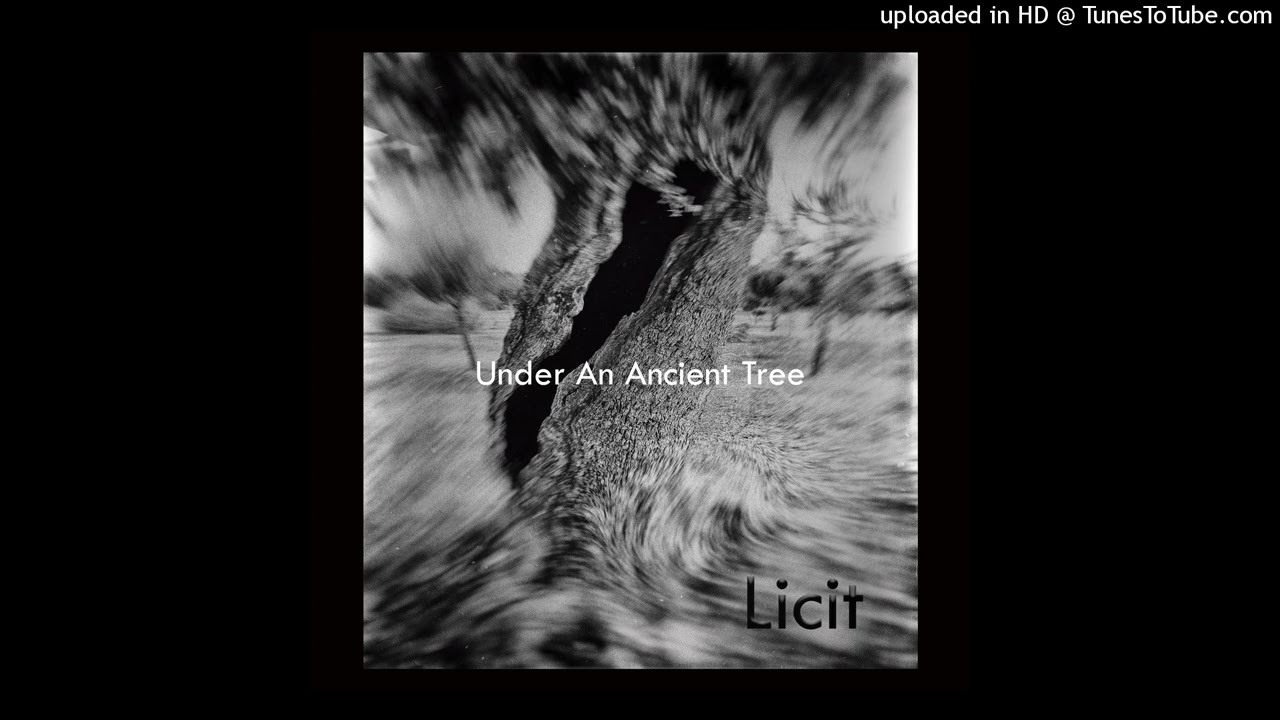 Licit - Something Subliminal (SUB_tl 079)