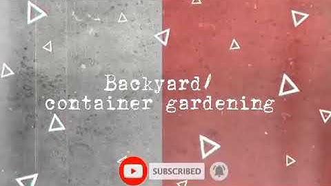 NSTP2 - Community Service / Project Implementation