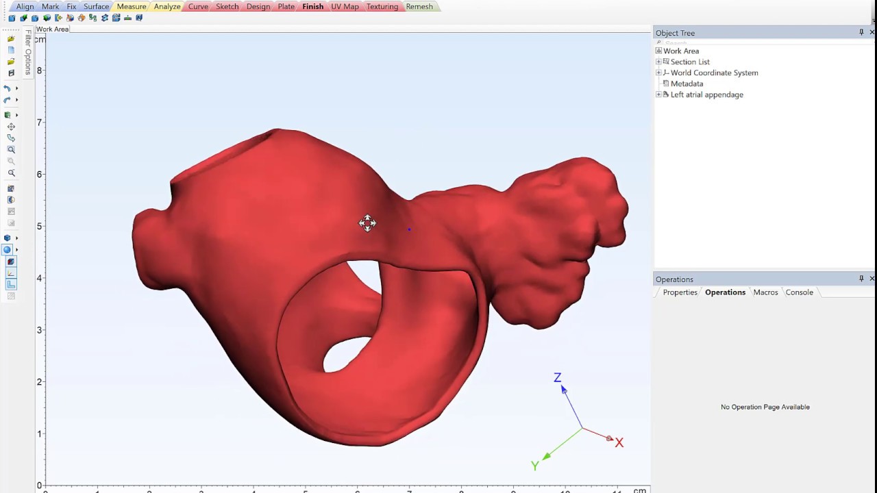 How to label 3D printed anatomical models YouTube