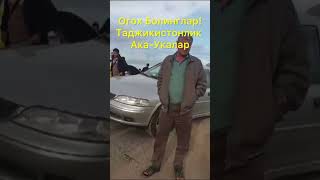 Ташкент Москва автобус таджикистан акалар огох болинг