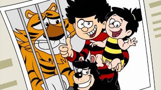 Tiger Story | Funny Episodes | Dennis and Gnasher