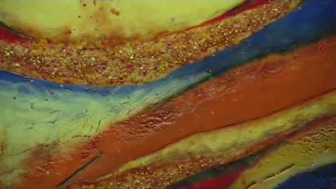 Artist Intervie with Kelli Weeks Jan 2012
