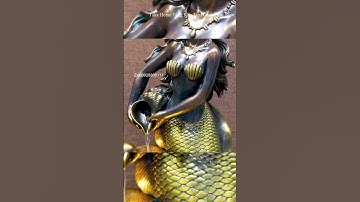 cách bố trí tiểu cảnh sân vườn | Taka Home Sầm văn Tiến