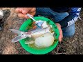 Pescando y Cocinando Bagres En Caldo En Los Rios Mas Grandes de Centro America