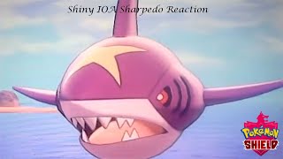 Go Back to Bed! | (IOA Sharpedo - 97th Live Reaction)