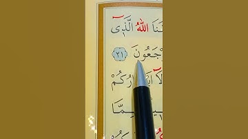 سورة فصلت الأية 21 إلى 23 بصوت سعد الغامدي