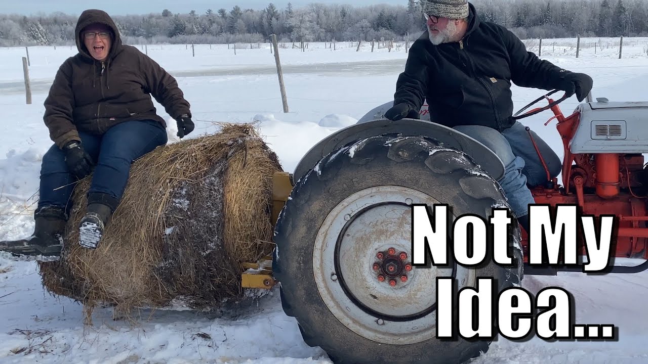 It Was NOT My Idea | A Big Family Homestead VLOG - YouTube