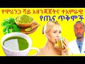      moringa tea recipe and amazing health benefits