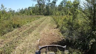 FOOD PLOT FUN! MTL XCT Cutting Brush For A Food Plot