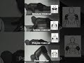 Push Ups for Upper Body Strength 🔥 Regular, Sphinx, Pseudo & Pike Push Ups