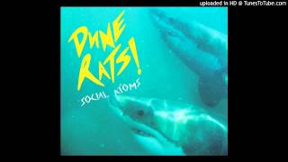 Video thumbnail of "DUNE RATS - Social Atoms"