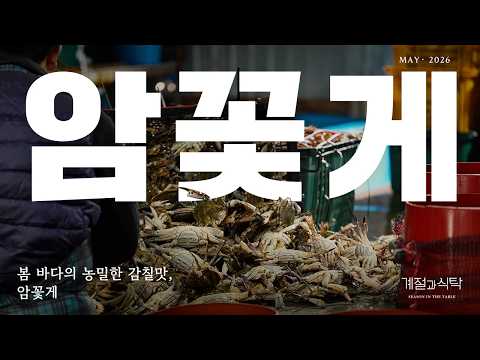 봄 바다의 농밀한 감칠맛, 암꽃게