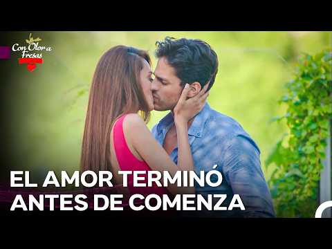 A Kiss Can Destroy All Dreams - Strawberry Smell