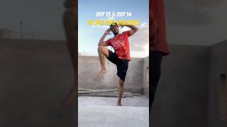 Day 13 & 14 of 30 Day Core Challenge  #viral #motivation #absworkout #youtubeshorts #shortsfeed