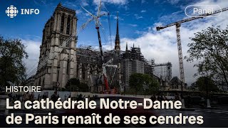Cinq ans après l'incendie : la renaissance de NotreDame de Paris