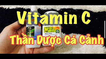 BÍ KIẾP KHỬ CLO NƯỚC MÁY ĐƠN GIẢN HIỆU QUẢ NHẤT