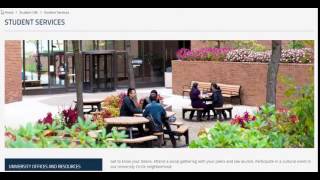 Universal Auto Insurance USA - How to Find Auto Insurance For International Travelers (part-3)