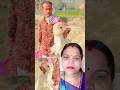 ଭ ଗ ୟ ତ ଲ ଖ ଲ ଲ ଜ ଣ Trending Odia Viral Youtube Shorts Yt Motivational Alpa Hasiba Alpa 
