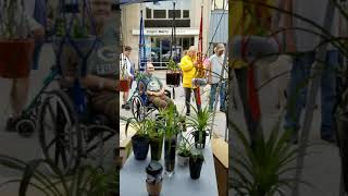 Download Lagu Fdl Music and stuff (0.5) MP3