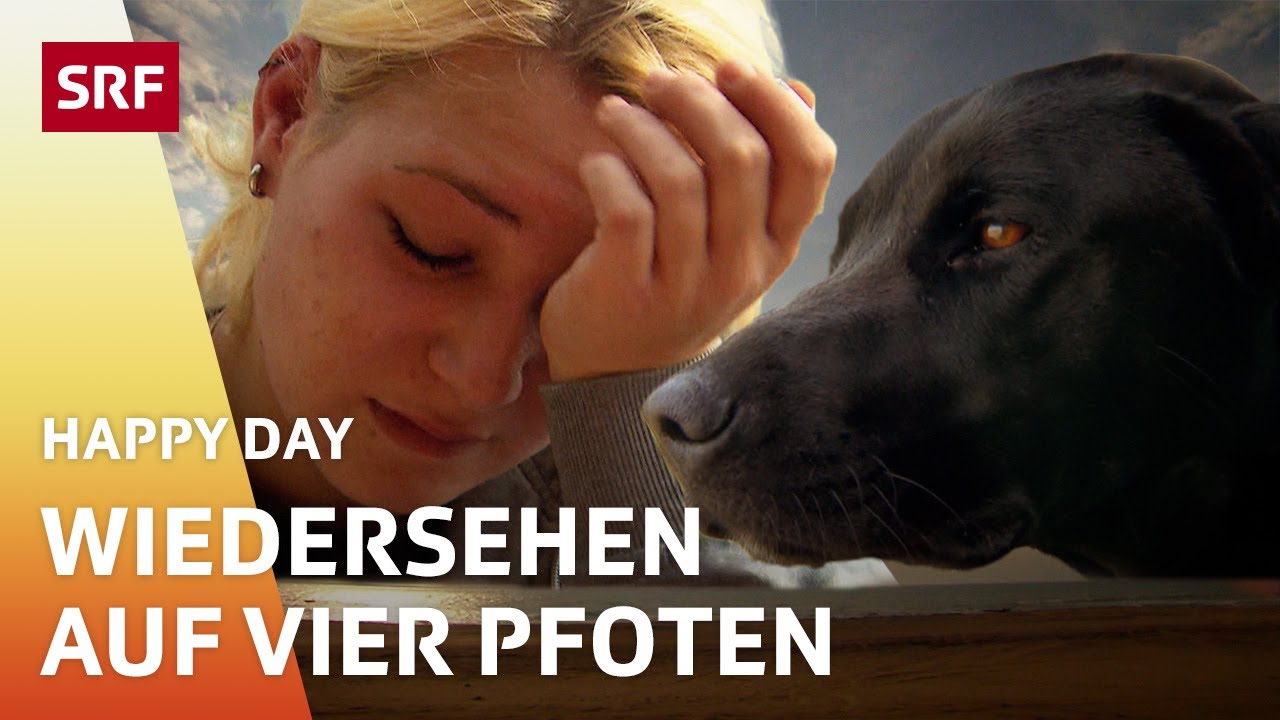 Ein Hund aus Namibia | Happy Day | SRF