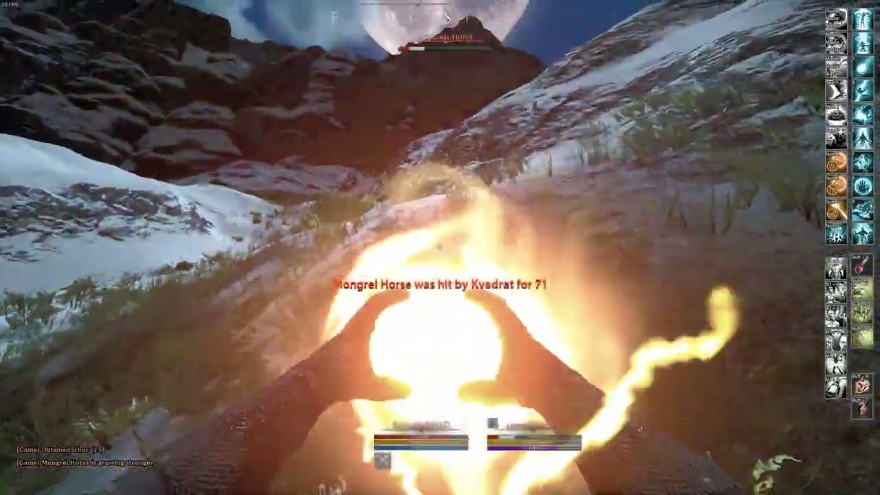 TULIPANOBIANCO-HOW TO SOLO MAGE IN MORTAL ONLINE 2 -part2