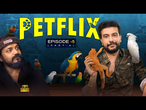 തൊണ്ണൂറു വയസ്സ് വരെ ജീവിക്കുന്ന പക്ഷികളും, പക്ഷികളിലെ മിമിക്രിക്കാരും | PETFLIX