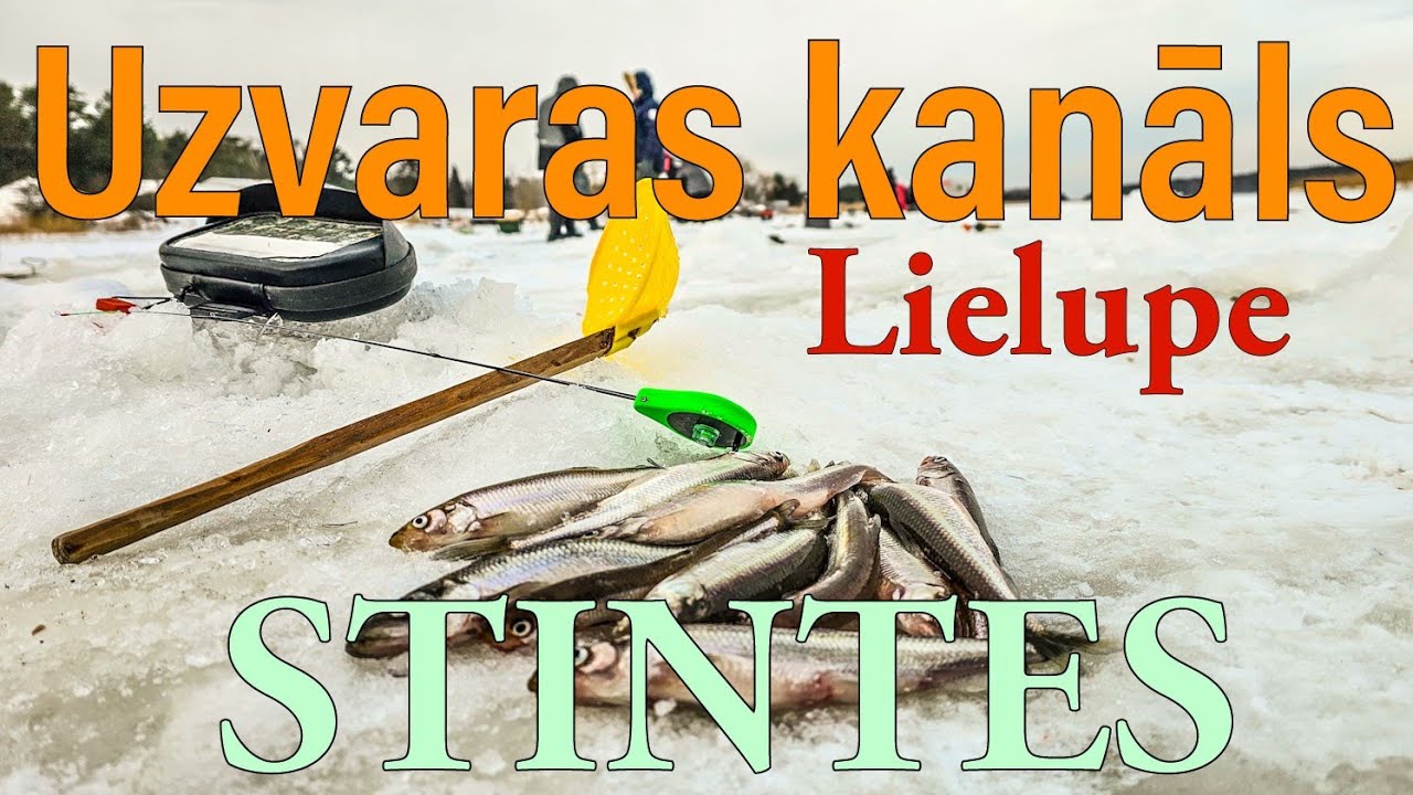 Stintes Lielupes uzvaras kanālā. 