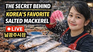 The Secret Behind Korea’s Favorite Salted Mackerel — Watch Me