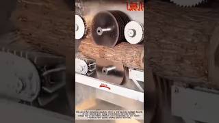High Speed Log Cutting Machine! #shorts