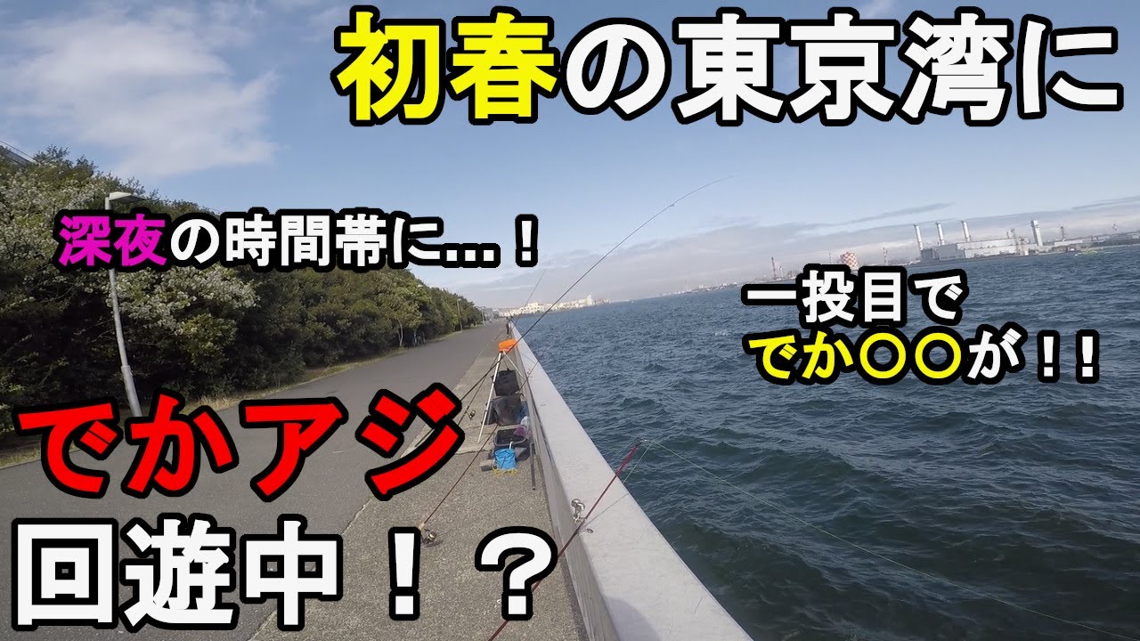 神奈川県某所 初春にでかアジ襲来 冬の終わりの3月下旬 関東地方の東京湾に面しているここ最近アジやサバが釣れ出している地域付近の釣り場でサビキ釣り調査をしてみたら 22 03 30 Youtube