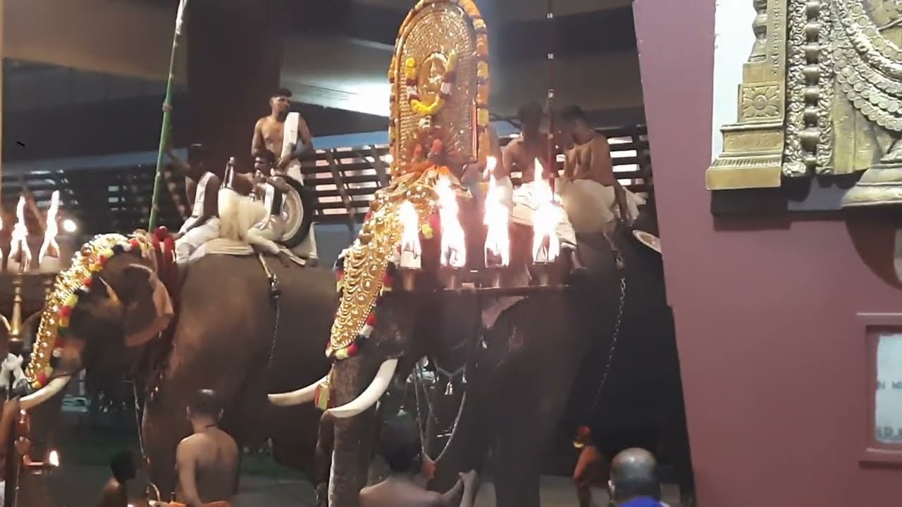 തൃശൂർ പാറമേക്കാവ് ക്ഷേത്രോത്സവം  രാത്രിപുറത്തെഴുന്നള്ളത്ത്...