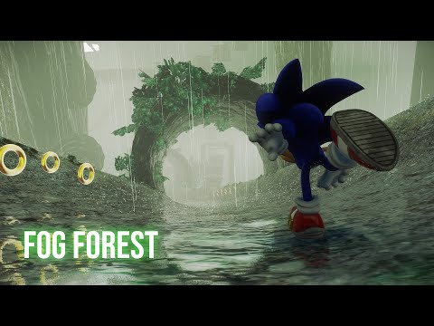 Introducing: Fog Forest! — free youtube stock footage
