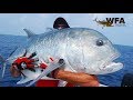 SPORTFISHING MALDIVES