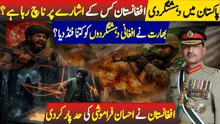 Regional Security Concerns: Pakistan, Afghanistan &amp; India Explained