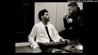 The Weeknd - Shadow Realm (Unreleased) (Snippet)