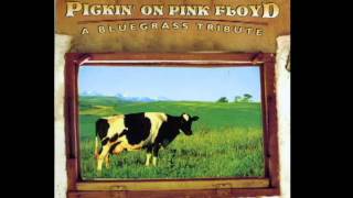 Dennis 'Cannonball' Caplinger - Money (Pink Floyd Bluegrass Cover) chords