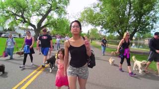 Furry Scurry 2015