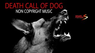 Dog Death Call Sound No Copyright Musics Sound Effects Sound Capture