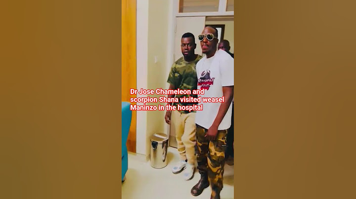 Dr chameleon and scorpion Shaba visited weasel Maninzo in the hospital
